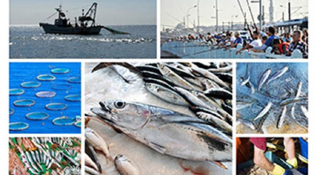 Deniz Ticareti Dergisi Şubat ayı sayısı için balıkçılık sektörünün ele alındığı özel bir ek hazırladı.