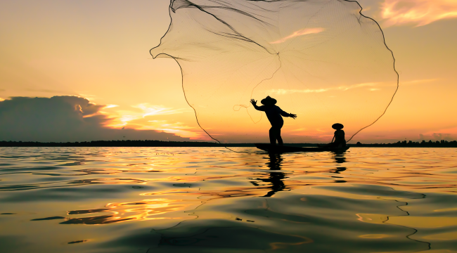 WWF Türkiye, küçük ölçekli balıkçılara destek için balıkçılık turizmi önerdi