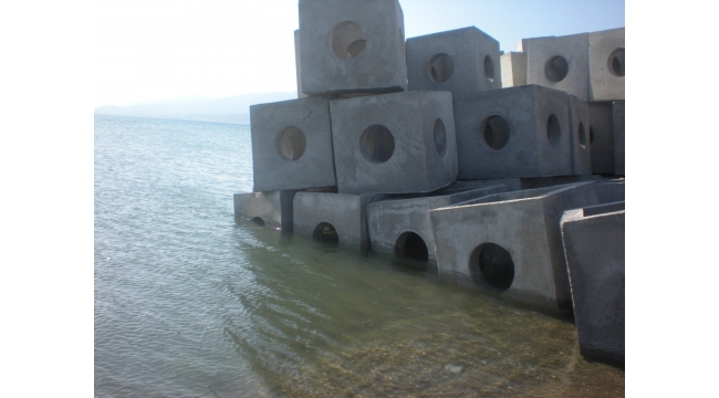 Innovative solution: Artificial reefs help boost Türkiye's fish numbers