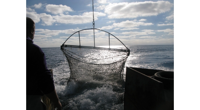 GFCM, Balıkçılık için Karadeniz Bilimsel Veri Tabanı Oluşturdu