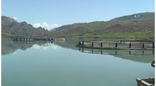 Giresun'da Yılda 18 Bin Tonun Üzerinde Kültür Balığı Yetiştirilmesi Hedefleniyor