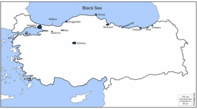 'Turkish salmon', Norwegian entrepreneurs, and the global salmon value chain