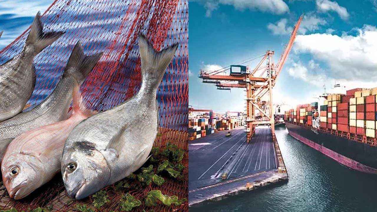 Türkiye Achieves Over $2 Billion İn Seafood Exports