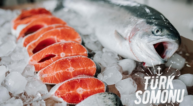Turkish Salmon Exports Increased 17 Times in 5 Years