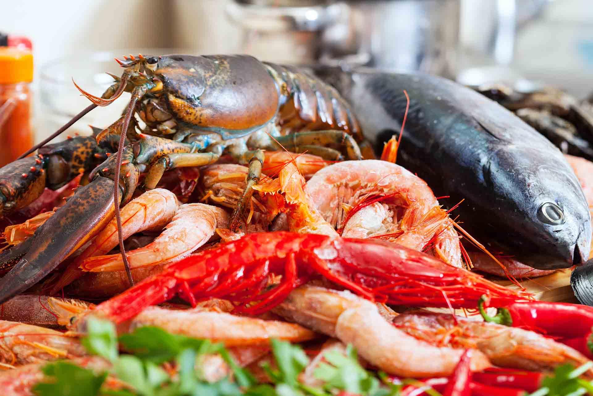 Culinary Tourism: Seafood Specialties Across Turkish Coastal Regions