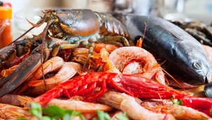 Culinary Tourism: Seafood Specialties Across Turkish Coastal Regions