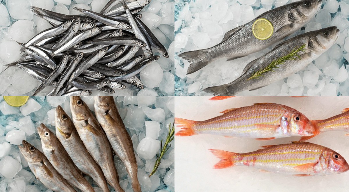 Exploring the Variety of Turkish Seafood Dishes Across the Regions