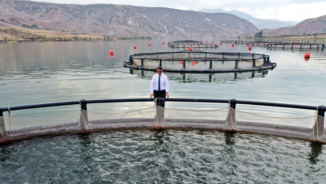 Türkiye: Düşük Yurtiçi Balık Tüketimiyle Öne Çıkan İhracat Odaklı Bir Su Ürünleri Yetiştiriciliği Ülkesi