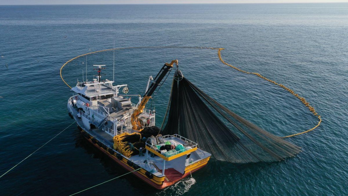 European Fishing Sector Pushes for İmproved Post-Brexit Trade Deal