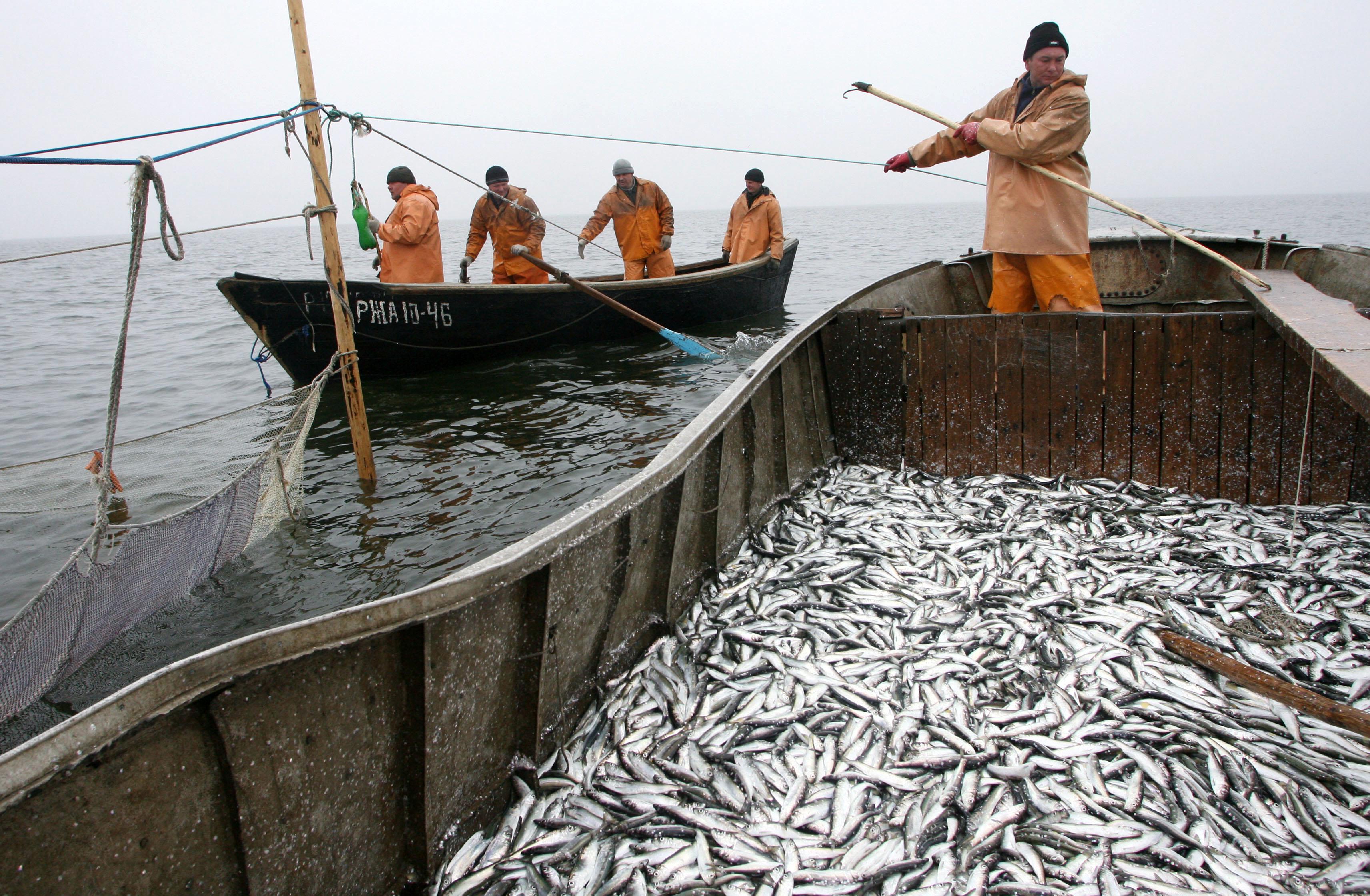 Seas at Risk: Europe's Small-Scale Fishers Being Failed by İnconsistent Policy İmplementation