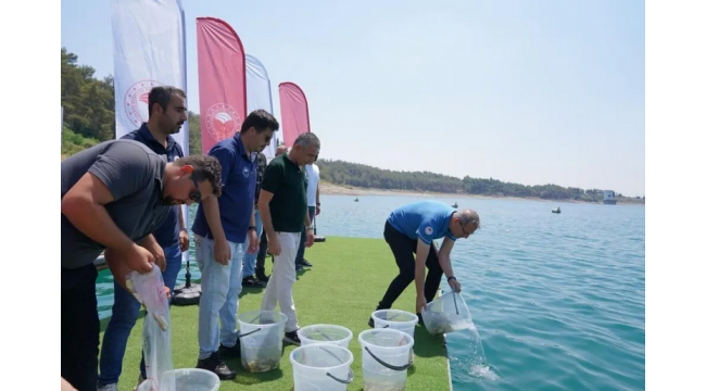 10 Milyon Yavru Balık Doğayla Buluştu