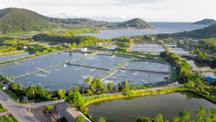 Aquaculture Sector Could Generate up to 22 Million Jobs by 2050 With USD 1.5 Trillion İnvestment 