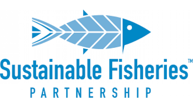 Europe's İnternational Fishing Deals Must İnclude Greater Transparency, NGO Group Urges