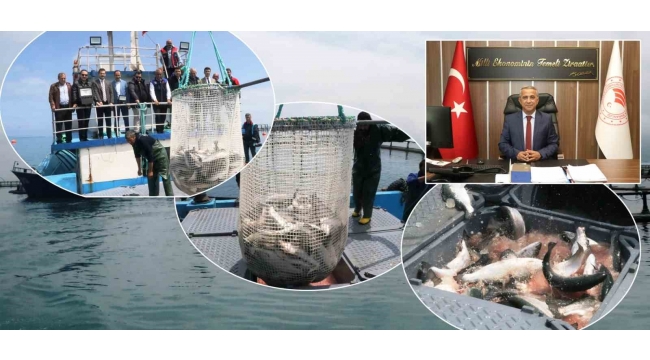 Samsun'dan Rekor Su Ürünleri İhracatı!