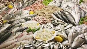 Balık Stoklarını Korumak İçin Bölgesel Kurallar ve Kota Şart
