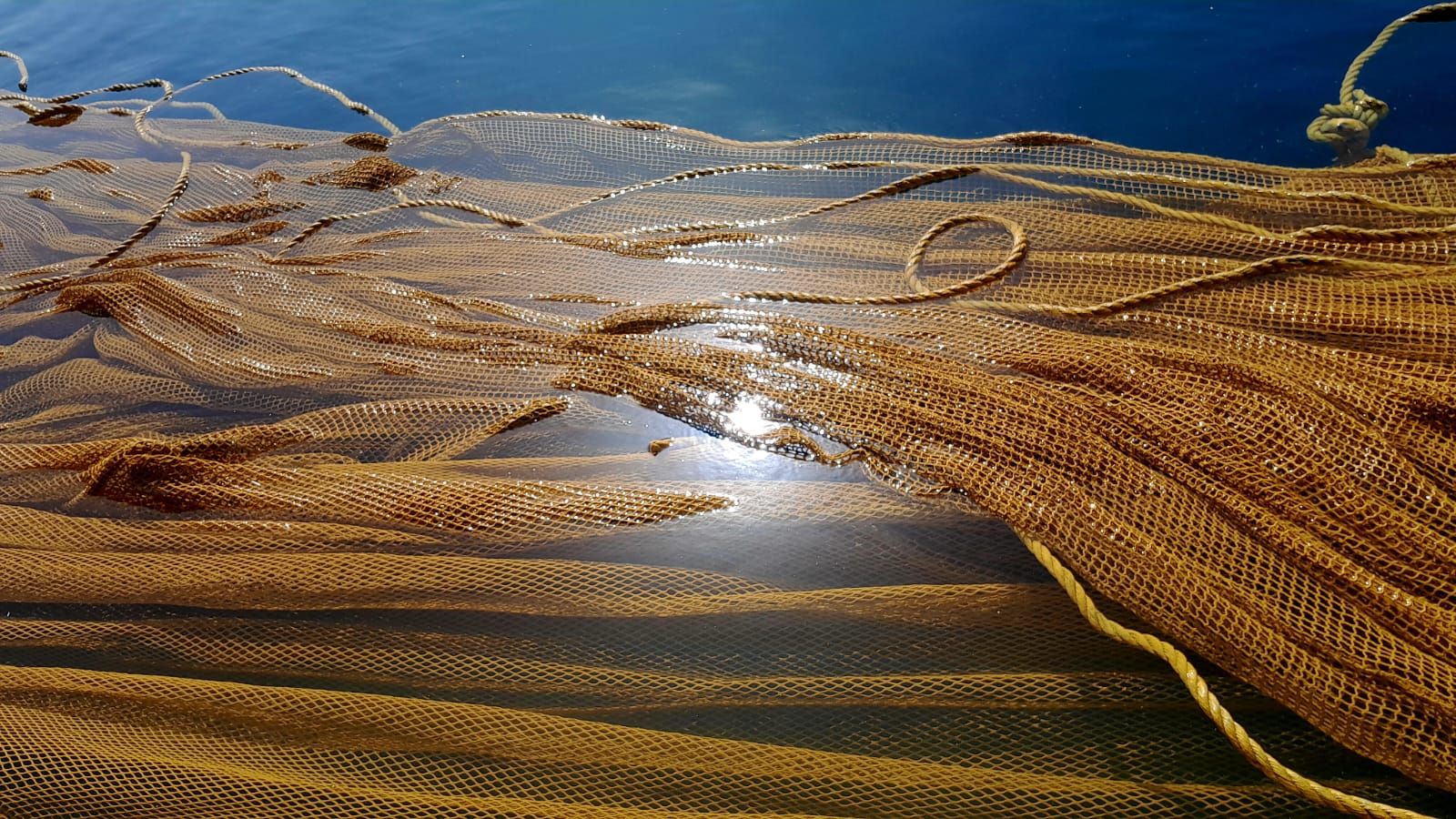 Avrupa'da Bir İlk: Ağ Boyama Ürünleri İçin Çevresel Ürün Beyanı (EPD)