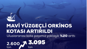 Türkiye’nin Orkinos Kotası %20 Artırıldı: Uluslararası Platformda Büyük Başarı