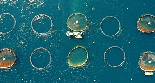 Fish farming in western Turkey