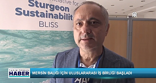 Mersin Balığı İçin Uluslararası İş Birliği Başladı